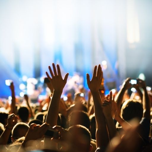 Music festival crowd